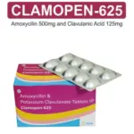 Dapawalf-10 - Image 5